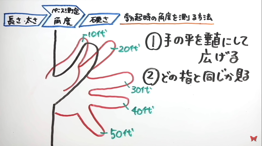 ペニスの長さ 太さ 硬さの測定方法 日本の平均 世界の平均は Men S W Lab By ドクターイースト