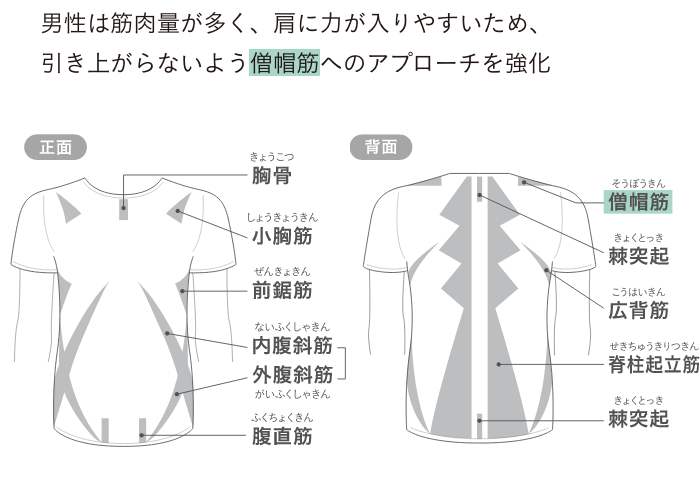 男性用機能性半袖シャツの筋肉へのアプローチ説明図