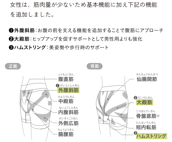 女性用機能性ショーツの筋肉へのアプローチ説明図。女性は筋肉量が少ないため基本機能に加え下記の機能を追加した旨のテキスト、①外腹斜筋（お腹の前を支え腹筋にアプローチ）、②大殿筋（ヒップアップを促すサポートとして男性用より強化）、③ハムストリング（美姿勢や歩行時のサポート）、正面・背面の筋肉図（腹直筋・外腹斜筋・中殿筋・内腹斜筋・外側広筋・腸腰筋・仙腸関節・大殿筋・骨盤底筋・短内転筋・ハムストリングなど）
