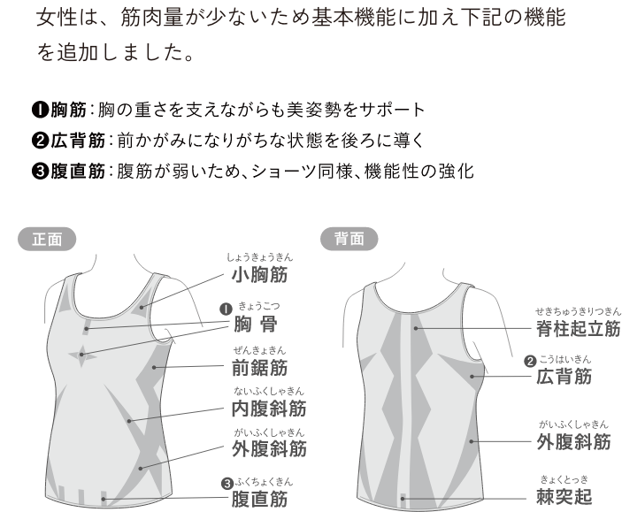 女性用機能性タンクトップの筋肉へのアプローチ説明図