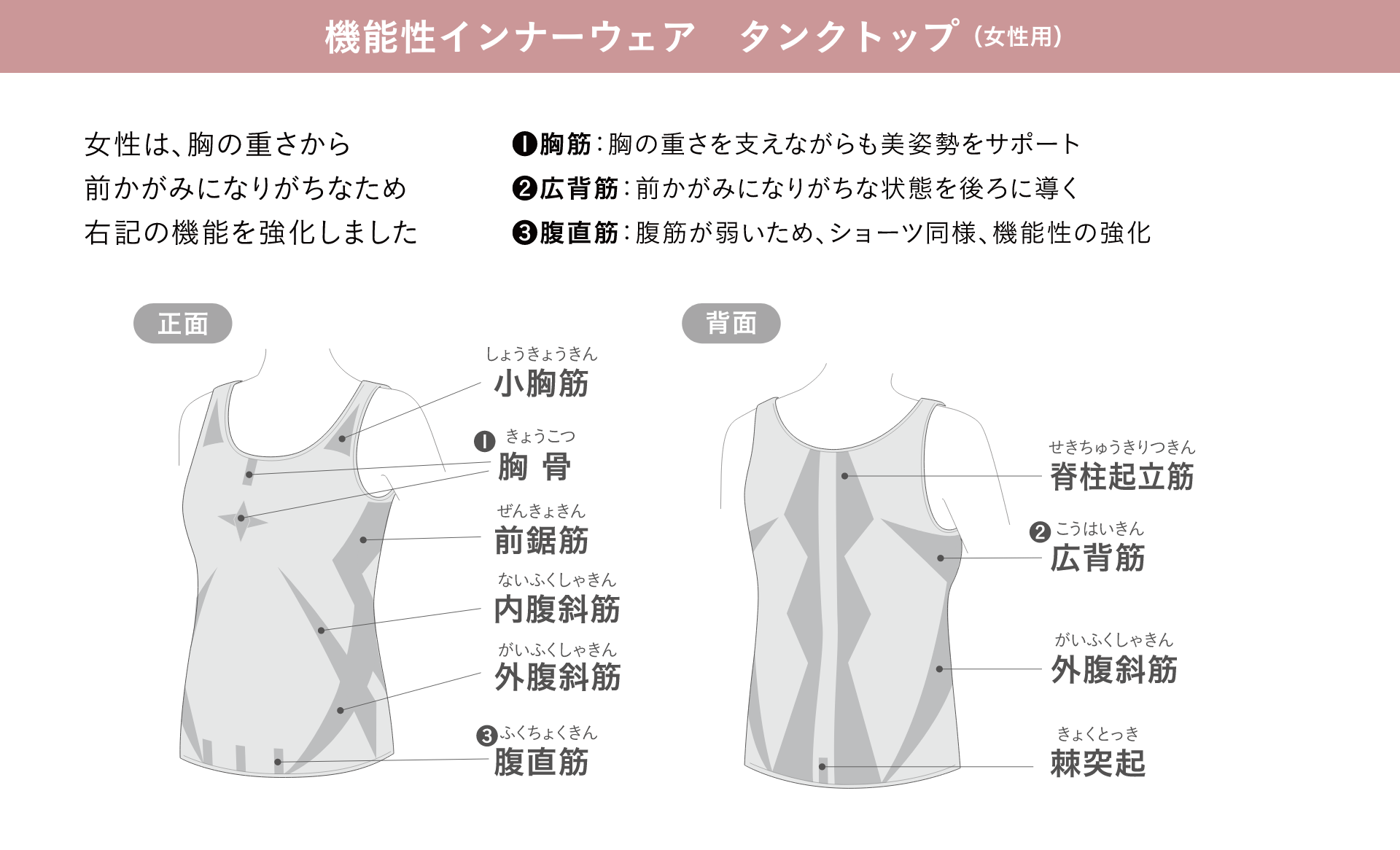 低筋圧理論とは？