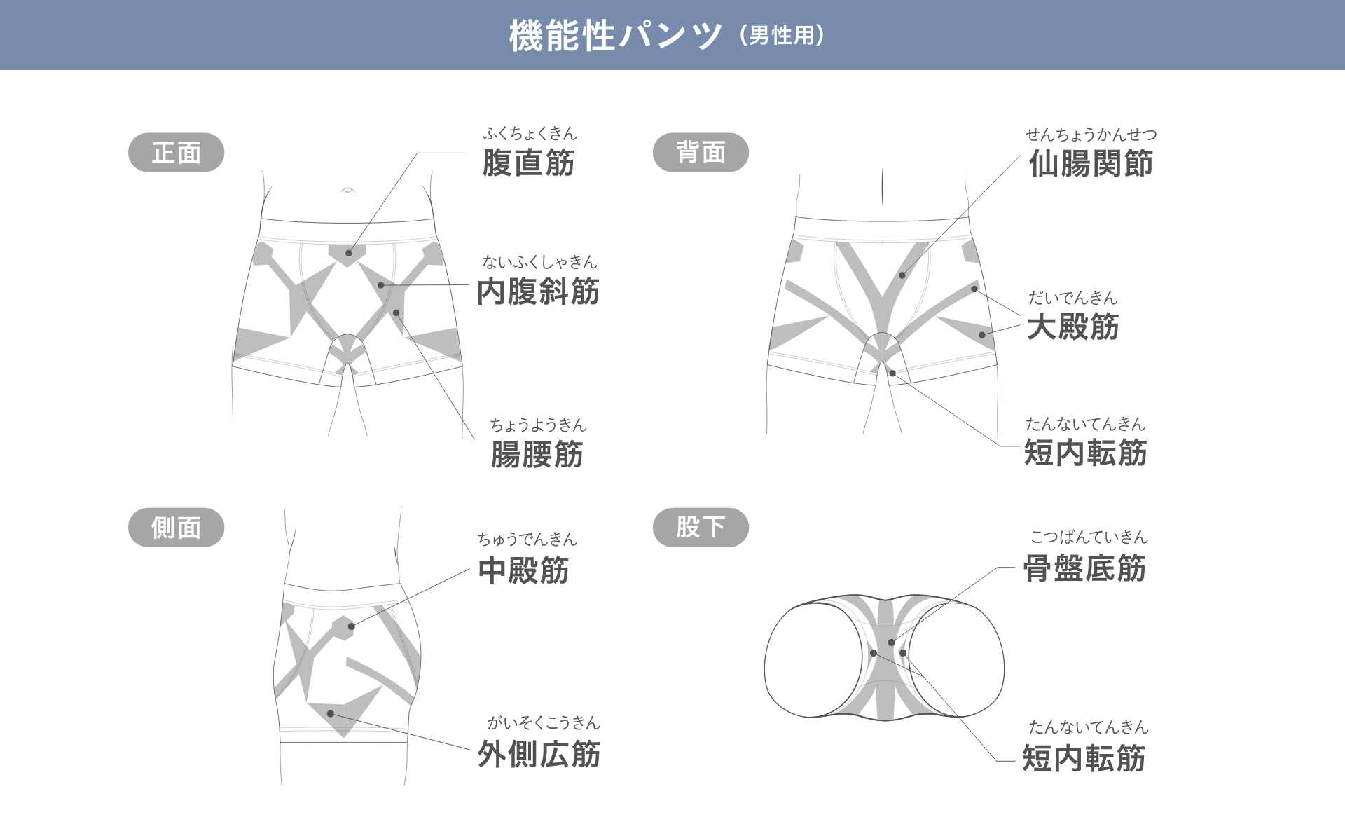 低筋圧理論とは？