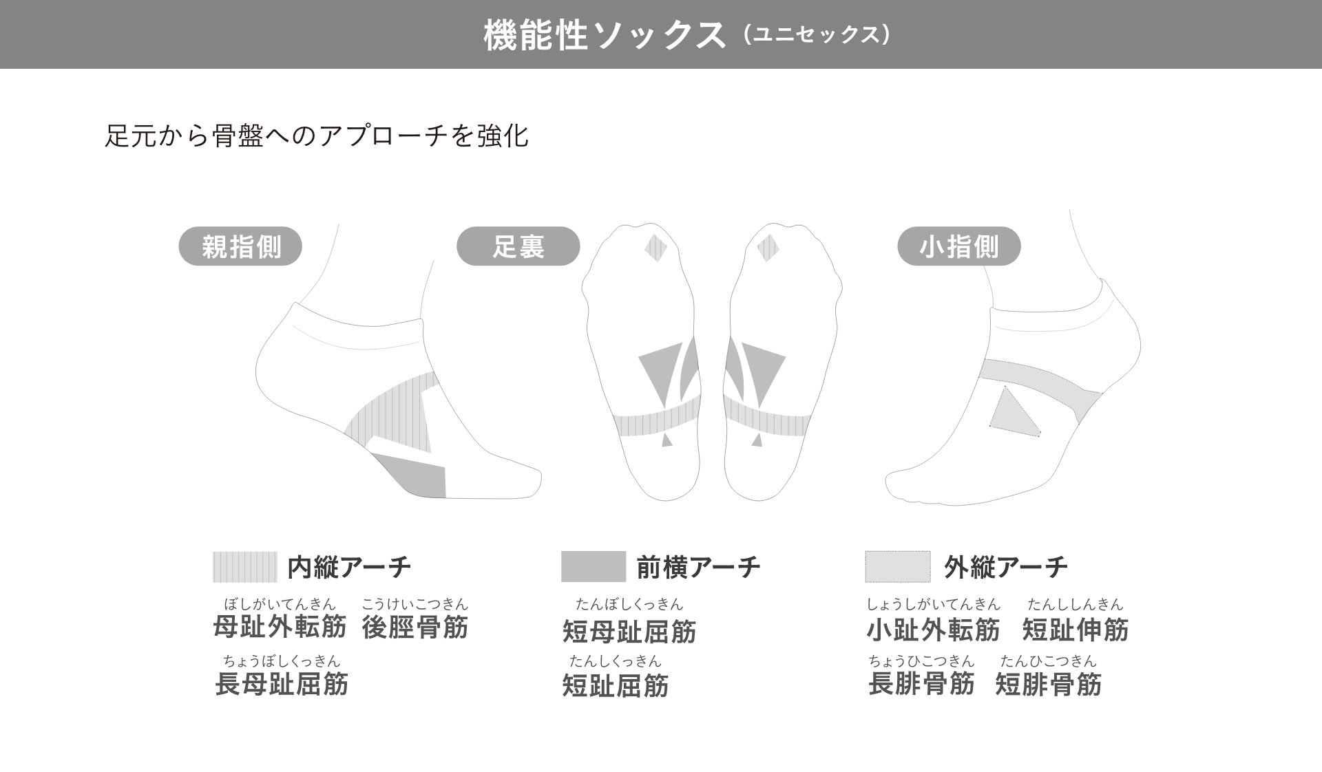 低筋圧理論とは？
