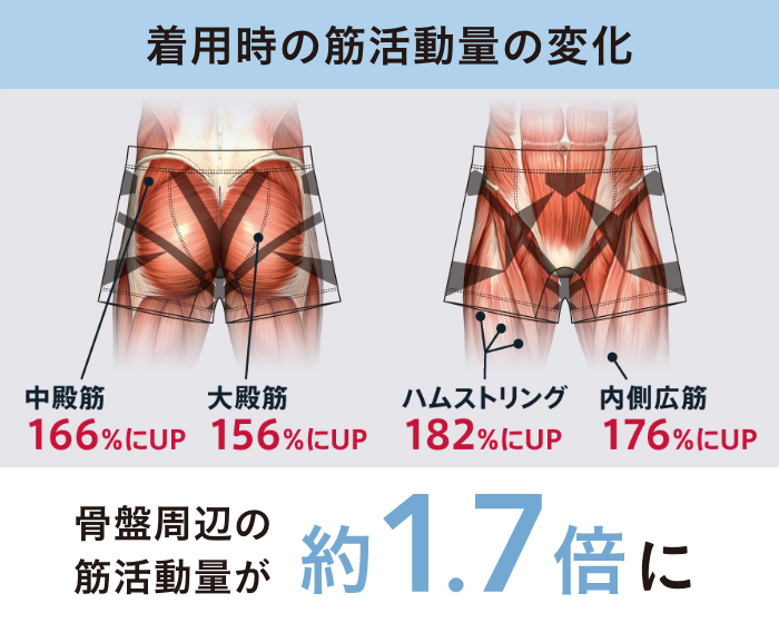 着用時の筋活動量の変化 中殿筋166%にUP 大殿筋156%にUP ハムストリング182%にUP 内側広筋176%にUP 骨盤周辺の筋活動量が約1.7倍に